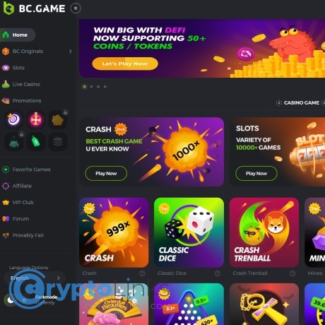 A Comprehensive Guide to the BC.Game Login Process