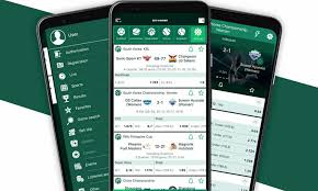 BetWinner Sportsbook Your Ultimate Guide to Betting Success