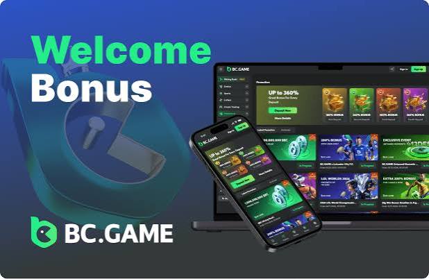 Understanding the BC App Verification Process Your Guide to Secure Access